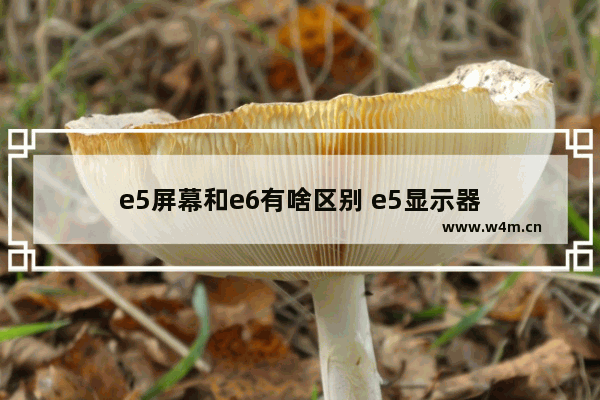 e5屏幕和e6有啥区别 e5显示器