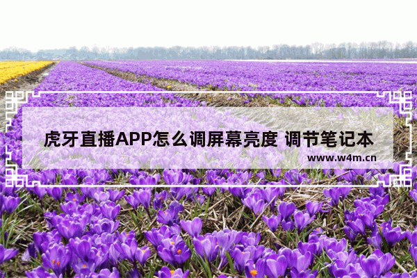 虎牙直播APP怎么调屏幕亮度 调节笔记本电脑亮度软件