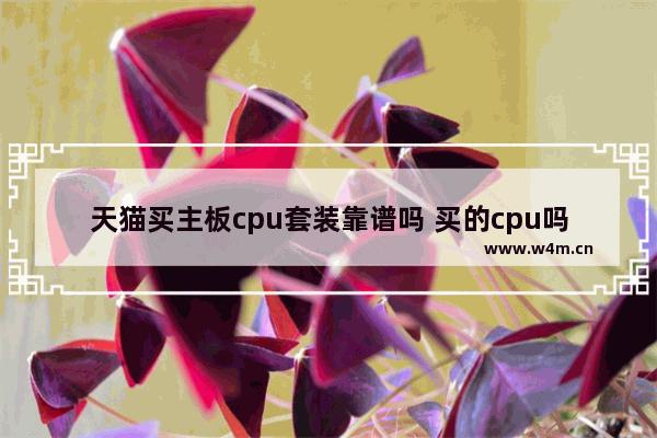 天猫买主板cpu套装靠谱吗 买的cpu吗