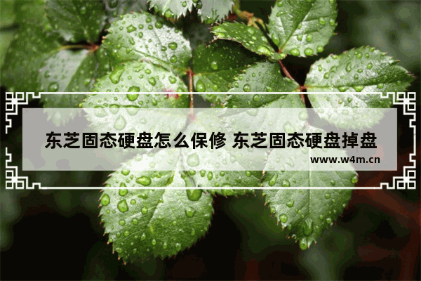 东芝固态硬盘怎么保修 东芝固态硬盘掉盘