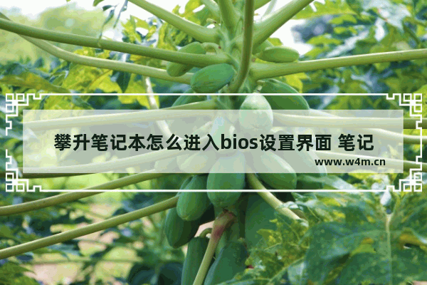 攀升笔记本怎么进入bios设置界面 笔记本电脑进bios设置