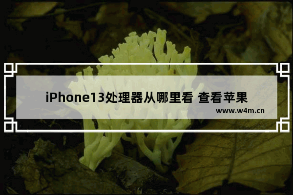 iPhone13处理器从哪里看 查看苹果cpu