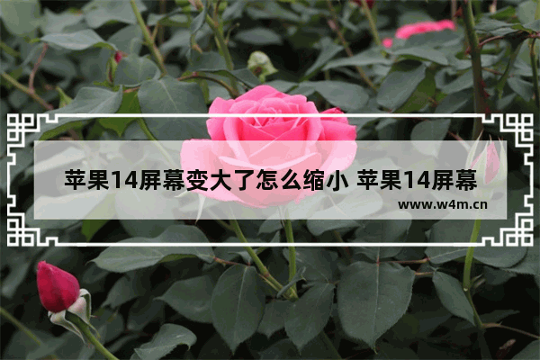 苹果14屏幕变大了怎么缩小 苹果14屏幕看久了眼睛疼怎么解决