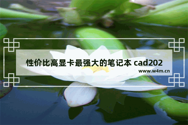 性价比高显卡最强大的笔记本 cad2020对电脑的配置要求