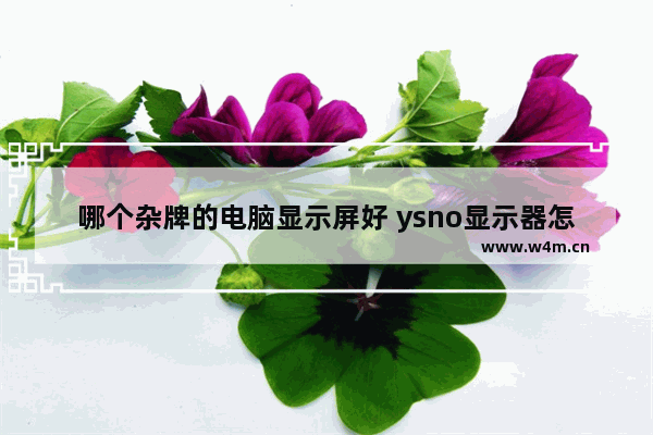 哪个杂牌的电脑显示屏好 ysno显示器怎么样