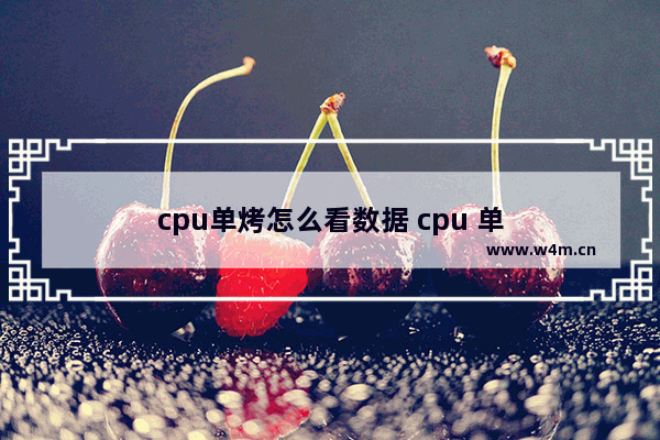 cpu单烤怎么看数据 cpu 单