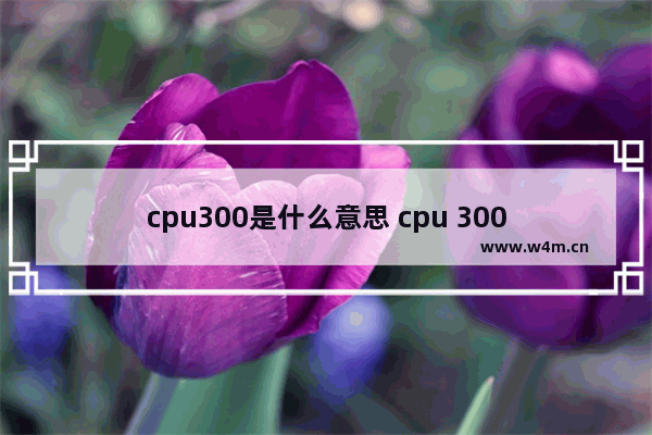 cpu300是什么意思 cpu 300