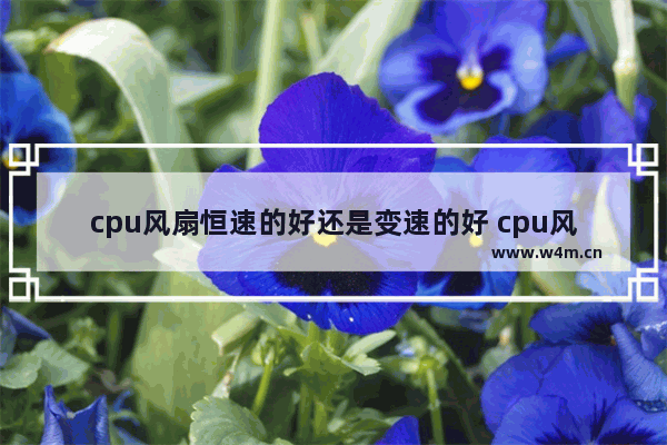 cpu风扇恒速的好还是变速的好 cpu风扇 好