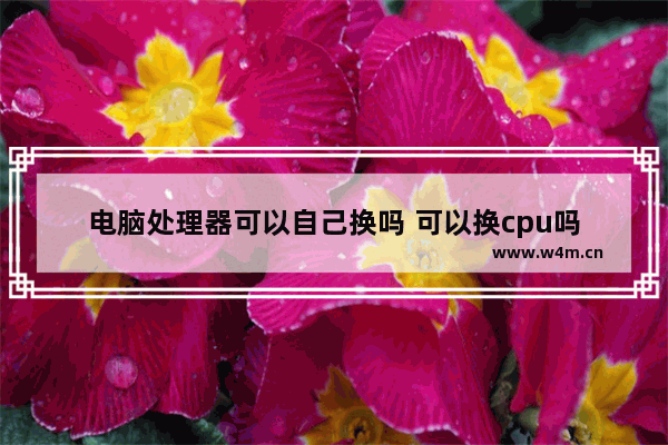 电脑处理器可以自己换吗 可以换cpu吗