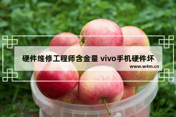 硬件维修工程师含金量 vivo手机硬件坏了 修需要好多钱呀