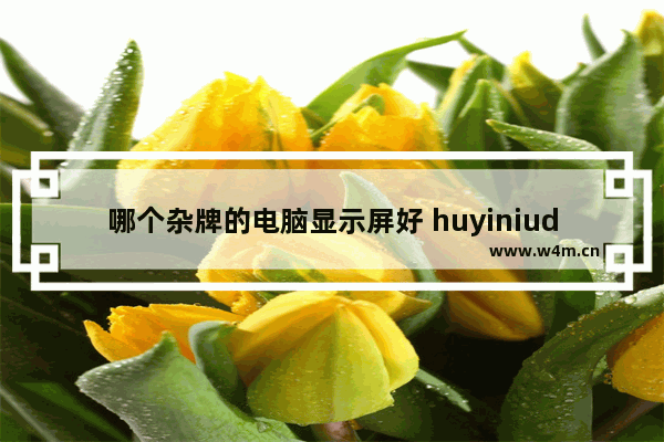 哪个杂牌的电脑显示屏好 huyiniuda显示器到底是哪里产的 怎么样