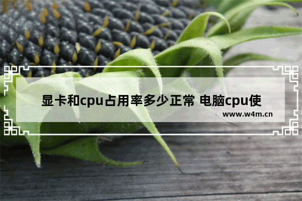 显卡和cpu占用率多少正常 电脑cpu使用率