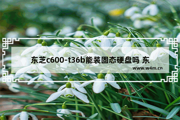 东芝c600-t36b能装固态硬盘吗 东芝2822驱动安装步骤