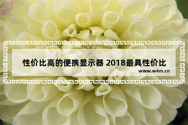 性价比高的便携显示器 2018最具性价比显示器