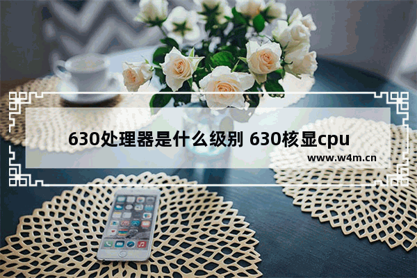 630处理器是什么级别 630核显cpu有哪些