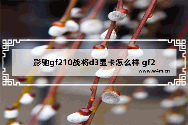 影驰gf210战将d3显卡怎么样 gf210显卡什么水平