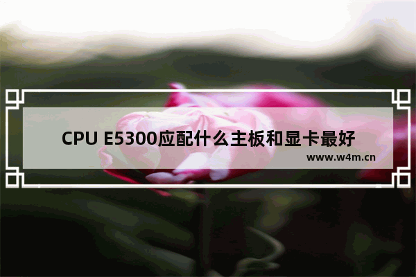 CPU E5300应配什么主板和显卡最好 奔腾e5300配什么显卡