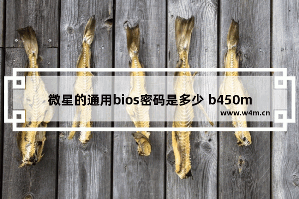 微星的通用bios密码是多少 b450m迫击炮电池位置