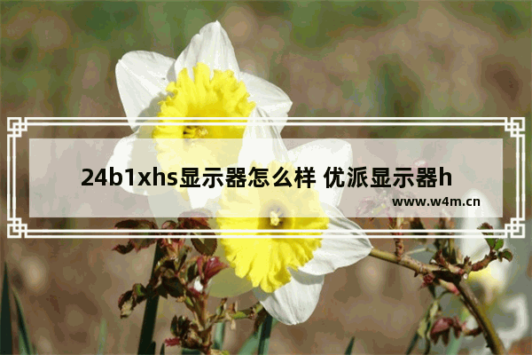 24b1xhs显示器怎么样 优派显示器h