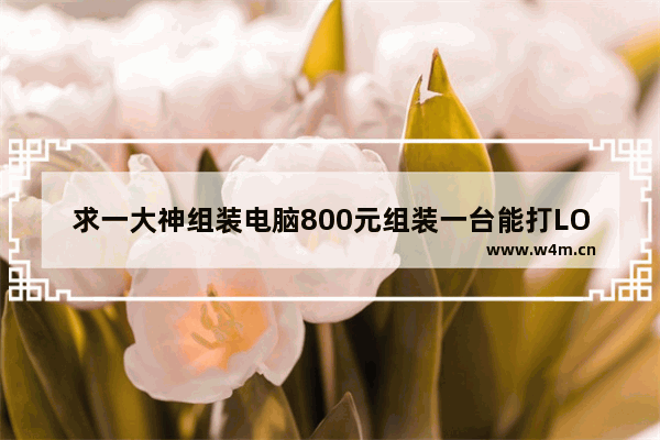 求一大神组装电脑800元组装一台能打LOL的电脑不用显示器那些 最低成本组装lol电脑