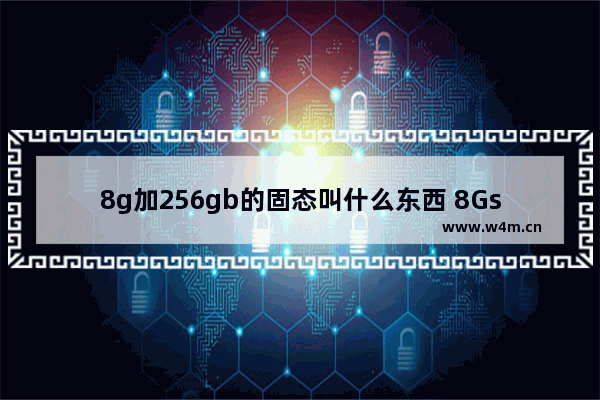 8g加256gb的固态叫什么东西 8Gssd固态硬盘