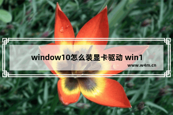 window10怎么装显卡驱动 win10显卡驱动怎么装