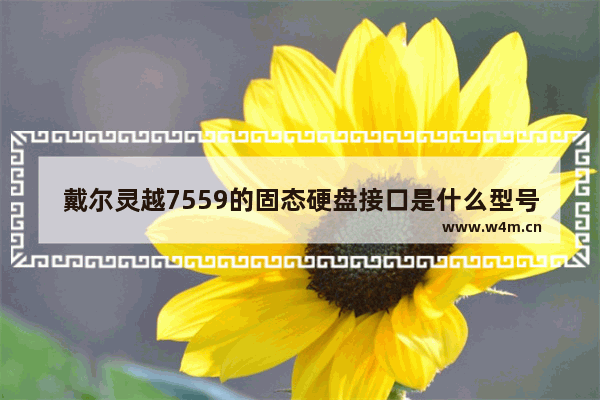 戴尔灵越7559的固态硬盘接口是什么型号 戴尔7559到底室什么类型的固态硬盘接口 好迷