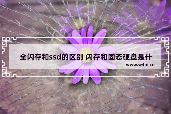 全闪存和ssd的区别 闪存和固态硬盘是什么关系