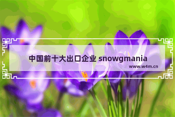 中国前十大出口企业 snowgmania是什么牌子