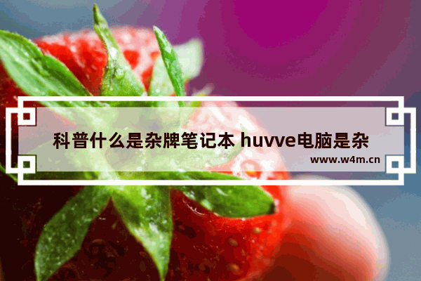 科普什么是杂牌笔记本 huvve电脑是杂牌吗