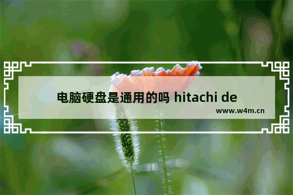 电脑硬盘是通用的吗 hitachi deskstar是什么品牌