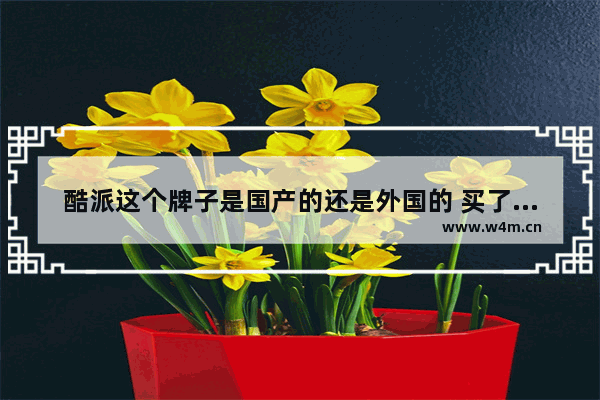 酷派这个牌子是国产的还是外国的 买了新笔记本 要商家送我一个系统盘 商家不送 说电脑硬盘里有出厂时厂商给的系统 想问一下硬