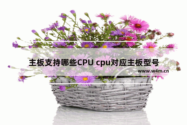 主板支持哪些CPU cpu对应主板型号