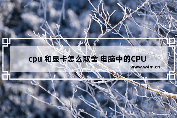 cpu 和显卡怎么取舍 电脑中的CPU 内存 显卡 硬盘的意思和各自的作用是什么