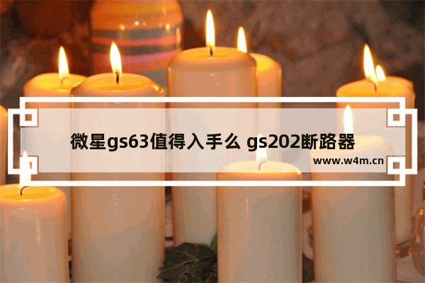 微星gs63值得入手么 gs202断路器和nxb 63是一样的吗