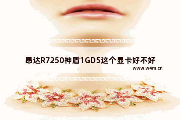 昂达R7250神盾1GD5这个显卡好不好 蓝宝石r7 240 1gd5什么意思