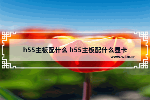 h55主板配什么 h55主板配什么显卡