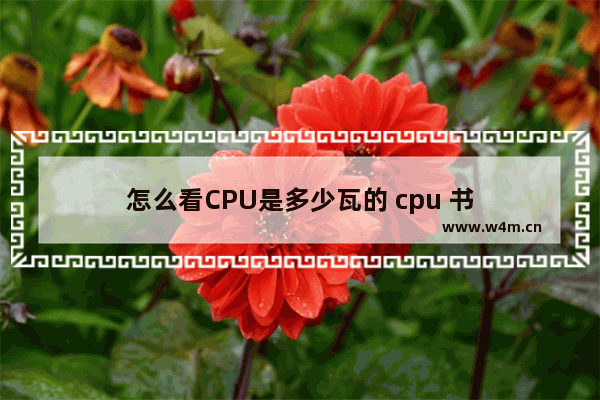 怎么看CPU是多少瓦的 cpu 书