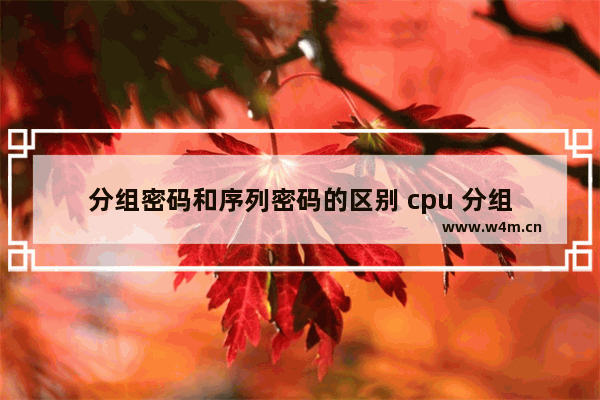 分组密码和序列密码的区别 cpu 分组