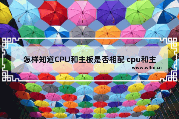 怎样知道CPU和主板是否相配 cpu和主板的关系