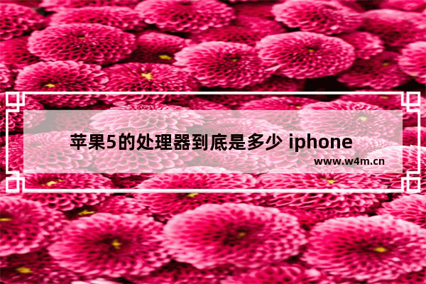 苹果5的处理器到底是多少 iphone 5的cpu