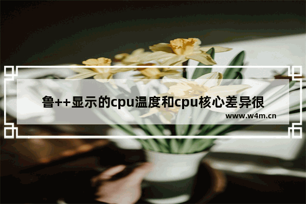 鲁++显示的cpu温度和cpu核心差异很大是怎么回事 cpu 与cpu内核