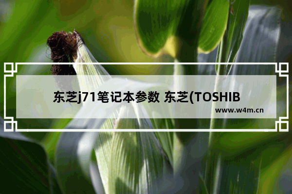 东芝j71笔记本参数 东芝(TOSHIBA)隼系列(THUHYBS-016G)U盘16G到底是TLC还是MLC