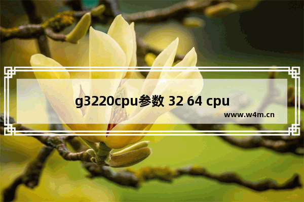 g3220cpu参数 32 64 cpu