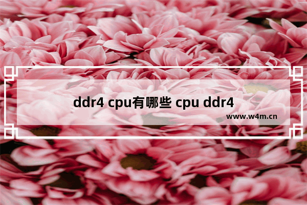 ddr4 cpu有哪些 cpu ddr4