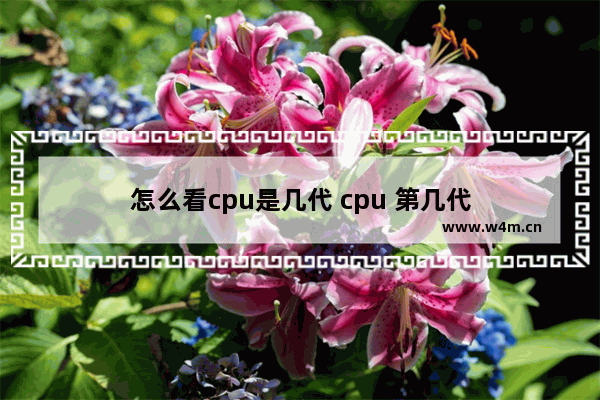 怎么看cpu是几代 cpu 第几代