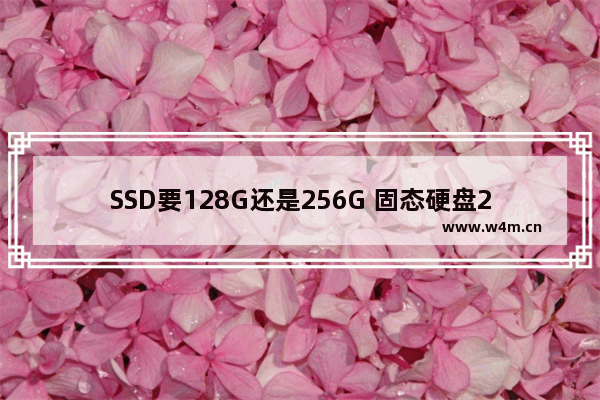 SSD要128G还是256G 固态硬盘256g选择