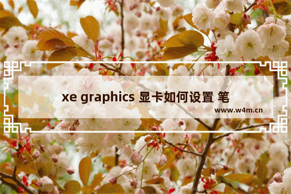 xe graphics 显卡如何设置 笔记本英特尔显卡设置