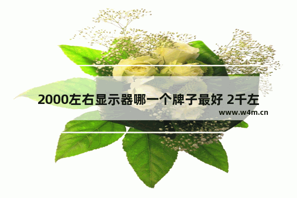 2000左右显示器哪一个牌子最好 2千左右性价比较高入门笔记本电脑