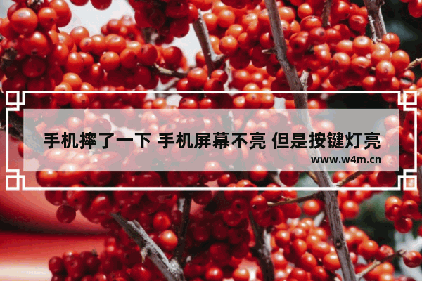 手机摔了一下 手机屏幕不亮 但是按键灯亮的 触摸也有用 就是屏幕不亮 换了屏幕也没用 这是什么坏了 显示器按钮不亮